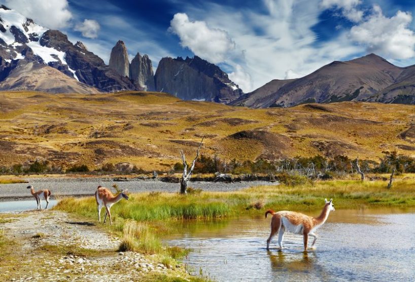 Lac en Patagonie